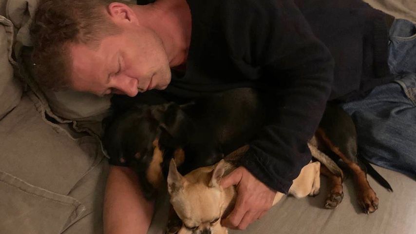 Til Schweiger und seine Hunde Banksy und Yoda
