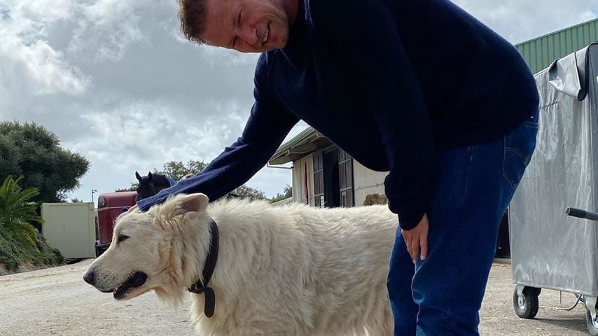 Til Schweiger im März 2020