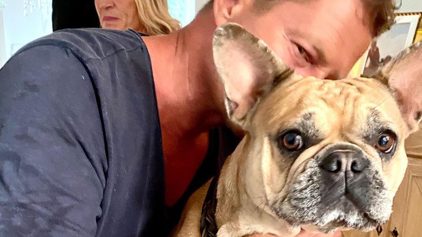 Till Schweiger und seine Hündin Wilma