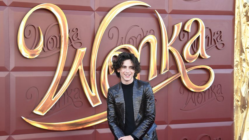 Timothée Chalamet bei der "Wonka"-Premiere im Dezember 2023 in Los Angeles