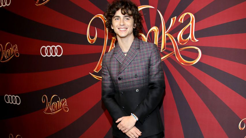 Timothée Chalamet, Schauspieler