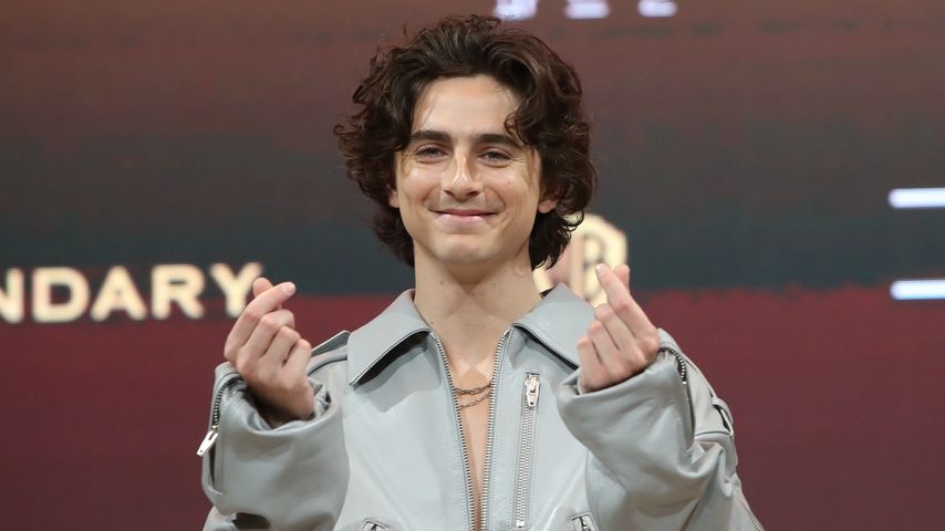 Timothée Chalamet, Schauspieler