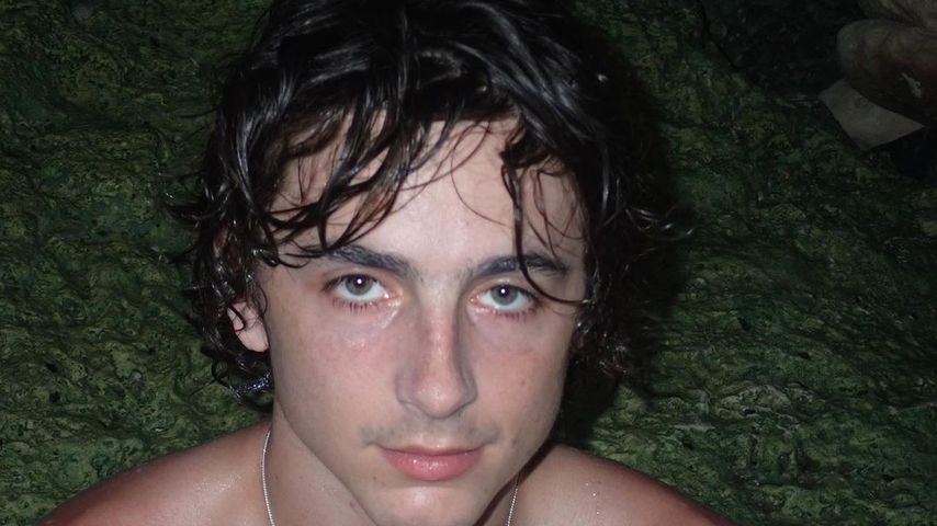 Timothée Chalamet im Meer