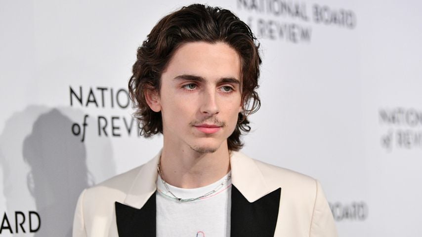 Timothée Chalamet in New York, Januar 2020