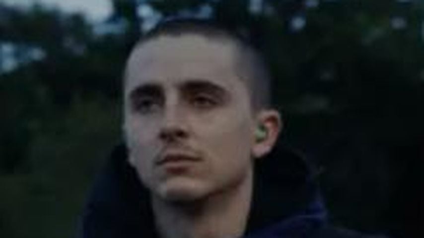 Timothée Chalamet, Schauspieler