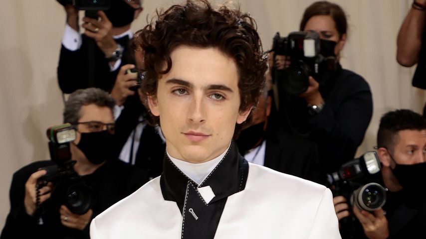 Timothée Chalamet in "Wonka": Diese Stars sind auch dabei