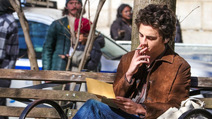 Timothée Chalamet, Schauspieler