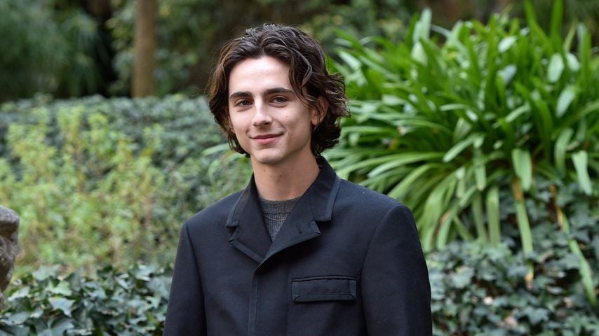 Timothée Chalamet beim "Call Me By Your Name"-Fotocall in Rom