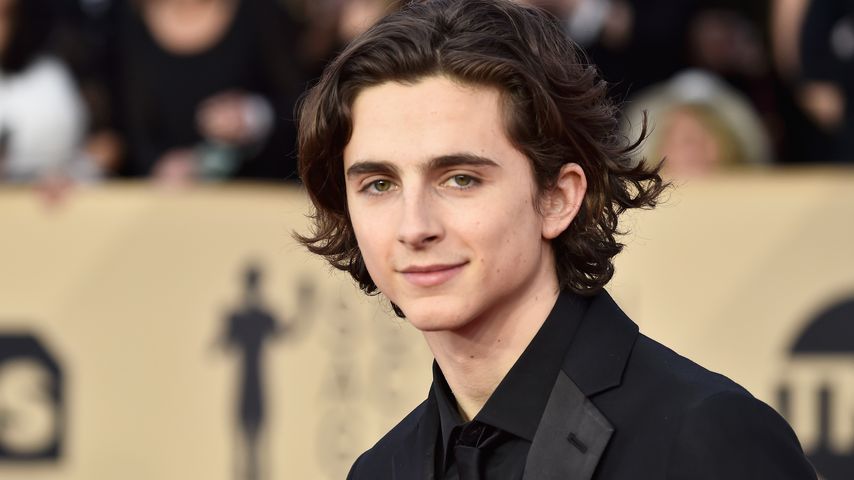Timothée Chalamet, Schauspieler