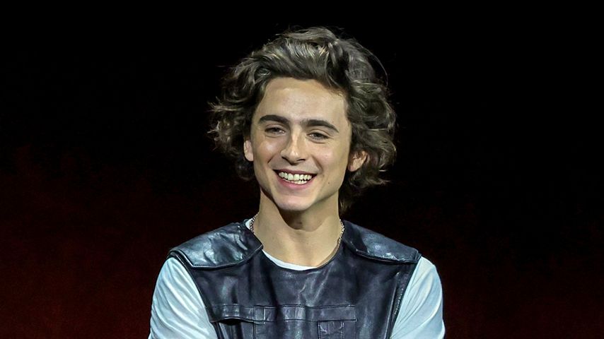 Timothée Chalamet, Schauspieler