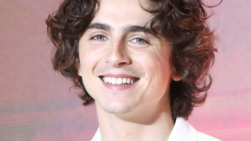 Timothée Chalamet, Schauspieler