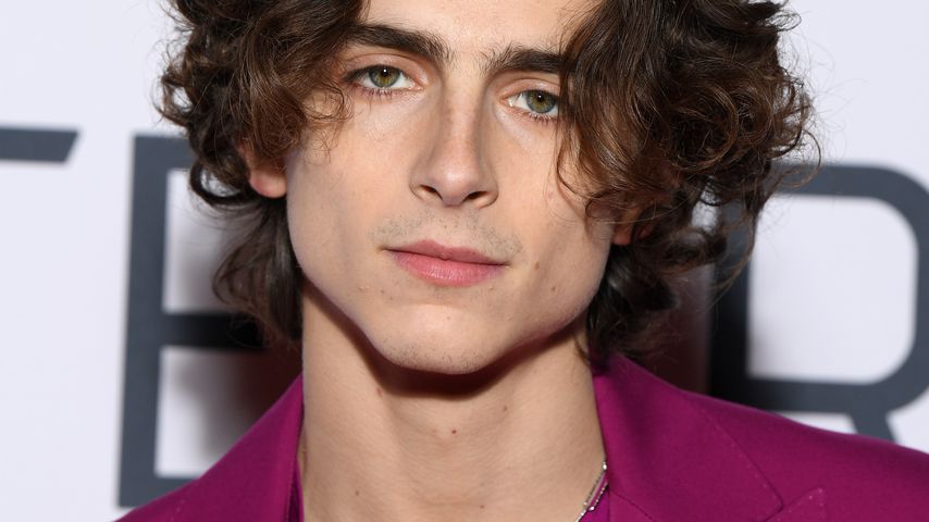 Timothée Chalamet bei der "Little Women"-Premiere in Paris im Dezember 2019