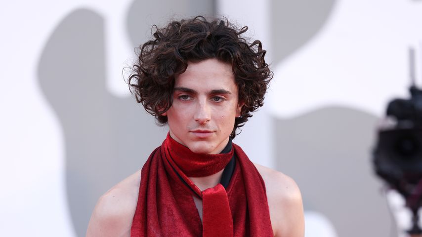 Timothée Chalamet, Schauspieler