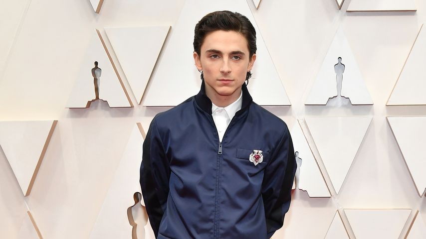 Timothée Chalamet, Schauspieler
