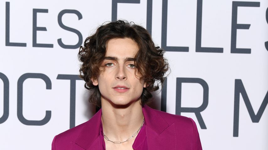 Timothée Chalamet, Schauspieler