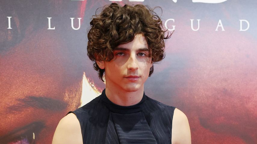 Timothée Chalamet bei der Premiere von "Bondes And All"