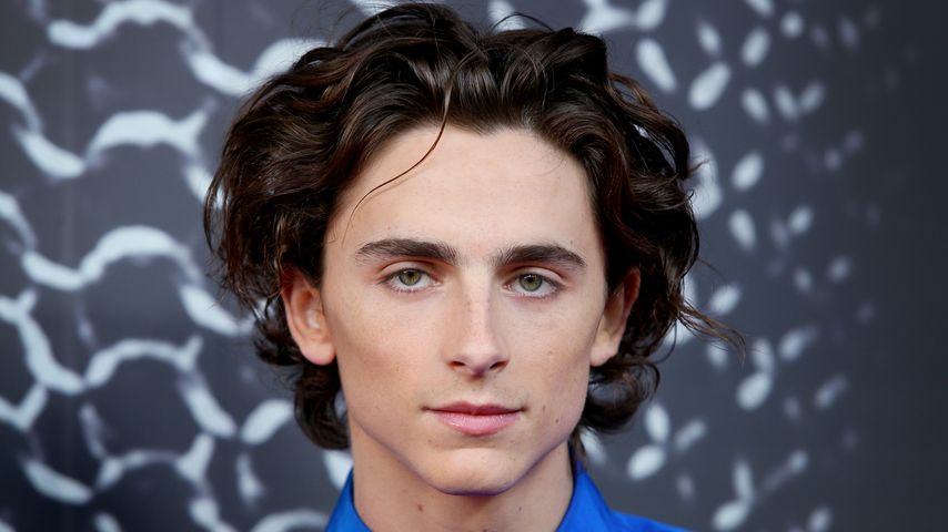 Timothée Chalamet, Schauspieler