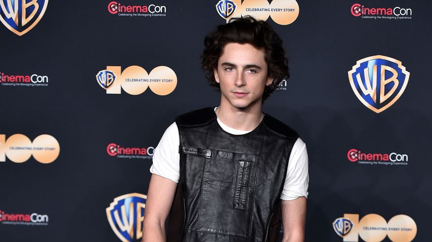Timothée Chalamet, Schauspieler