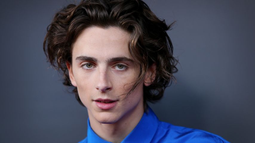 Timothée Chalamet, Schauspieler