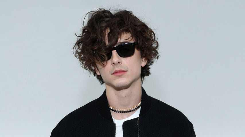 Timothée Chalamet, Schauspieler