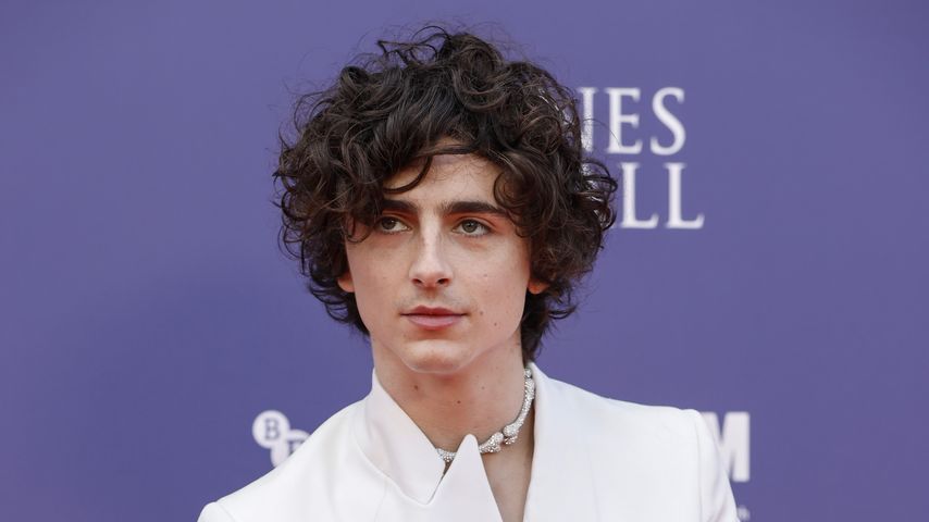 Timothée Chalamet, Schauspieler