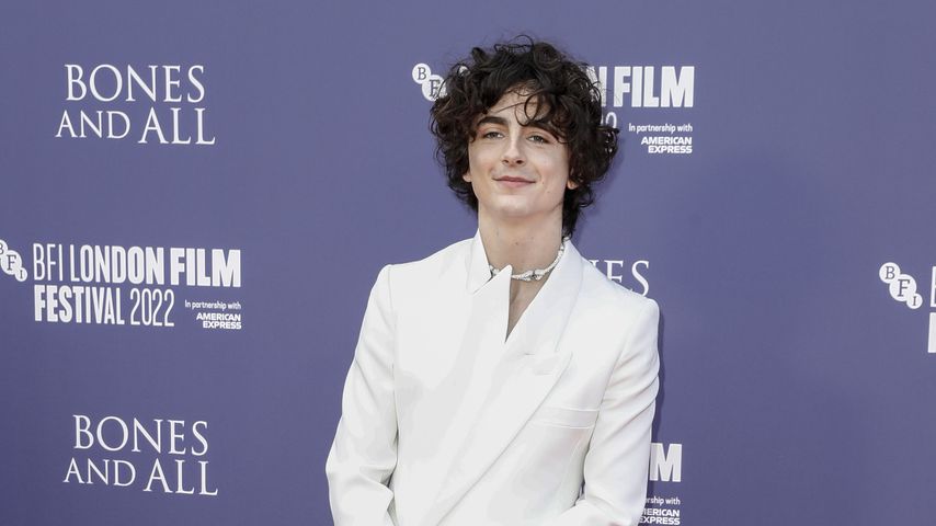 Timothée Chalamet, Schauspieler
