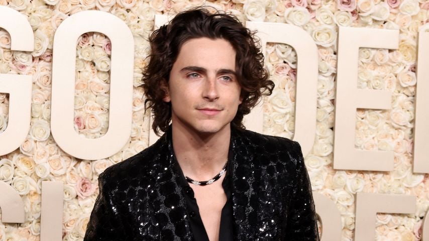 Timothée Chalamet, Schauspieler