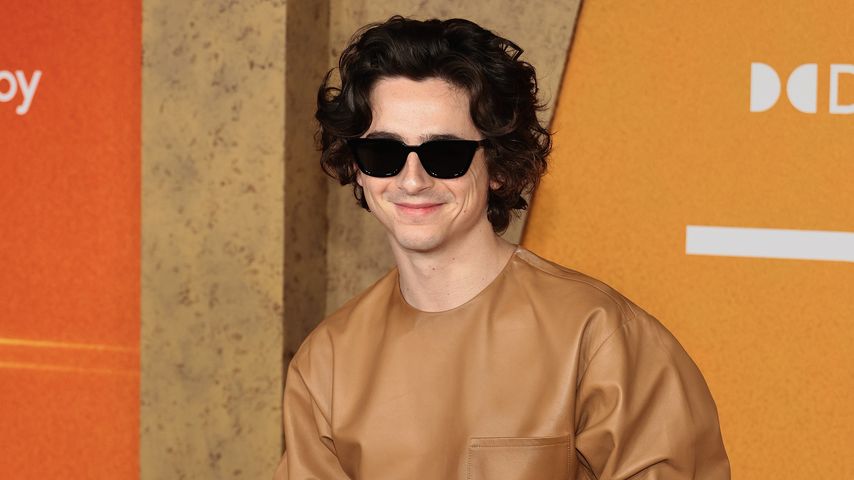 Timothée Chalamet, Schauspieler