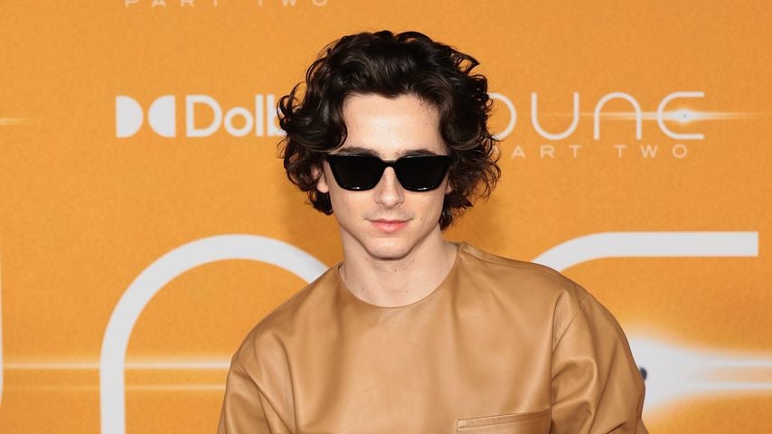 Timothée Chalamet, Schauspieler
