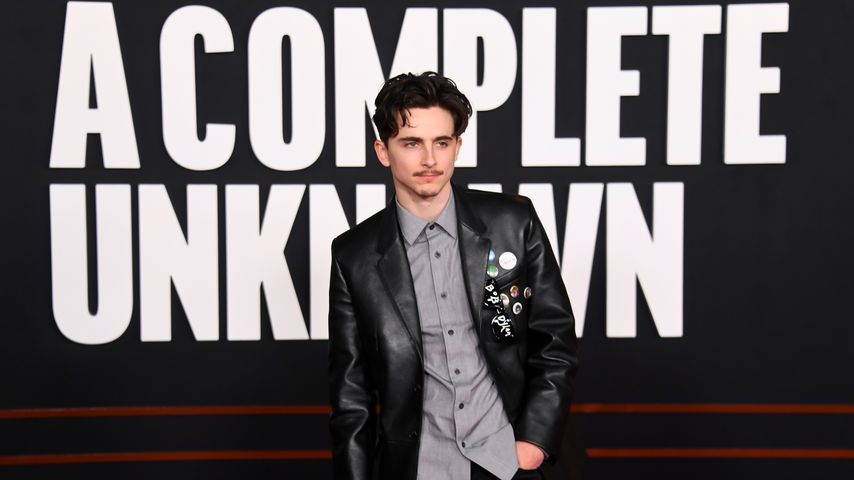 Timothée Chalamet, Schauspieler