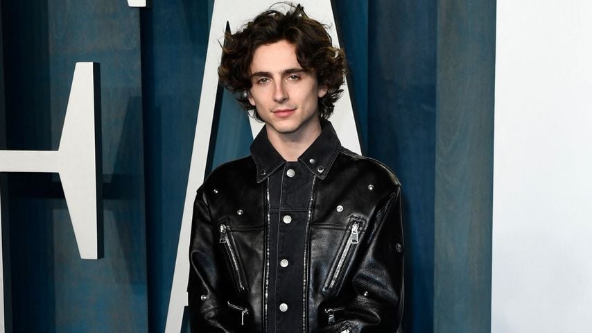 Timothée Chalamet, Schauspieler