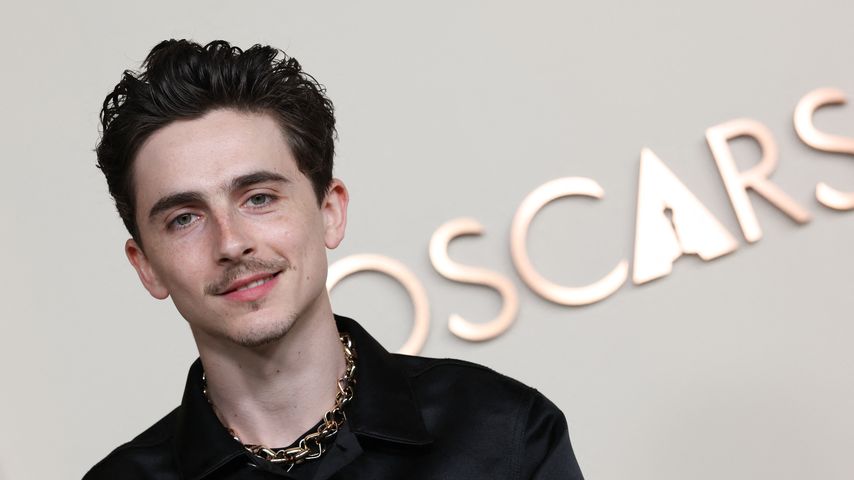 Timothée Chalamet, Schauspieler