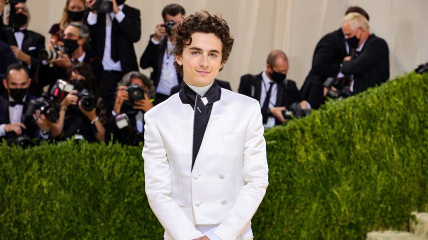 Timothée Chalamet, Schauspieler
