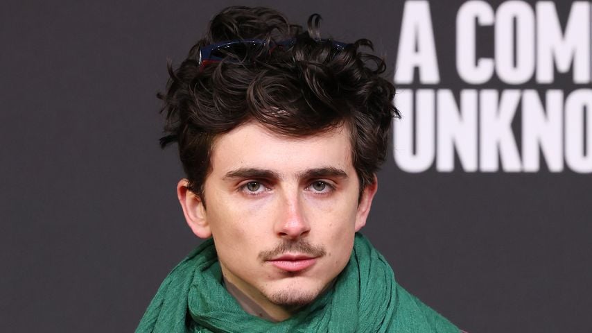 Timothée Chalamets Gitarrenspiel in Biopic wird kritisiert