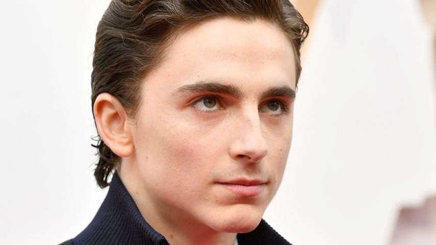 Timothée Chalamet, Schauspieler