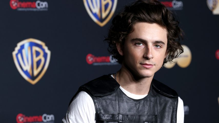 Timothée Chalamet, Schauspieler