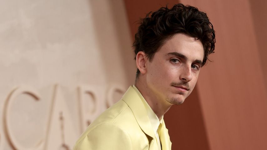 Timothée Chalamet, Schauspieler
