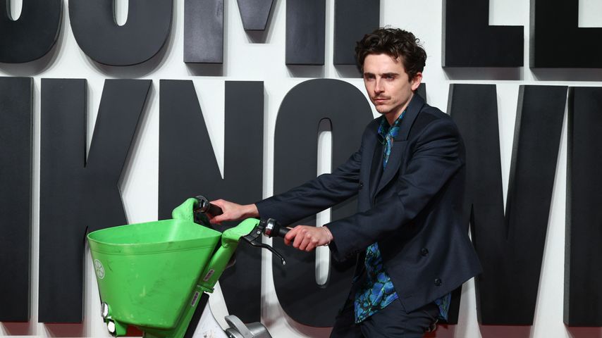 Timothée Chalamet, Schauspieler