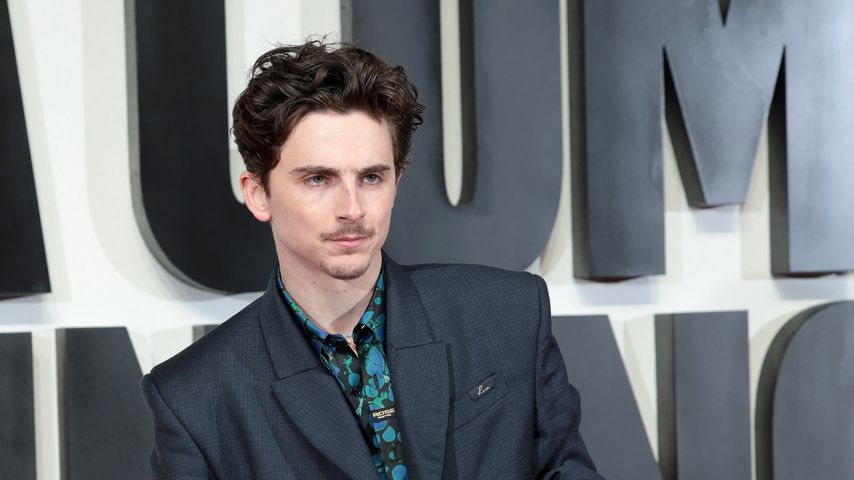 Timothée Chalamet, Schauspieler
