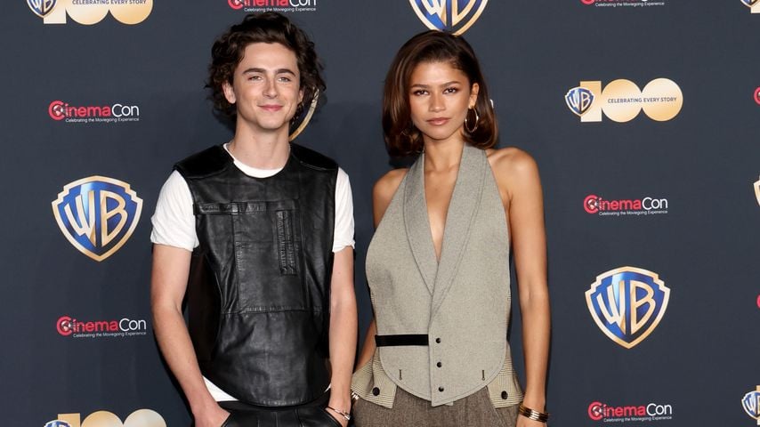 Timothée Chalamet und Zendayas erstes Treffen war peinlich!