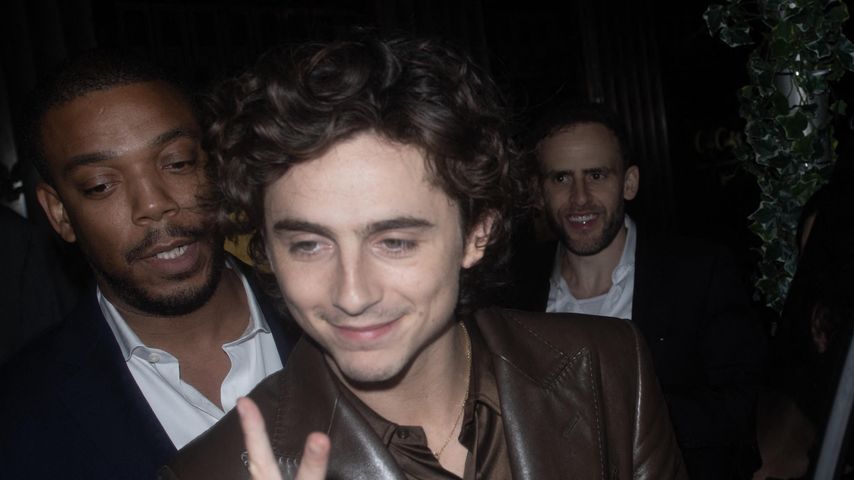 Timothée Chalamet, Schauspieler