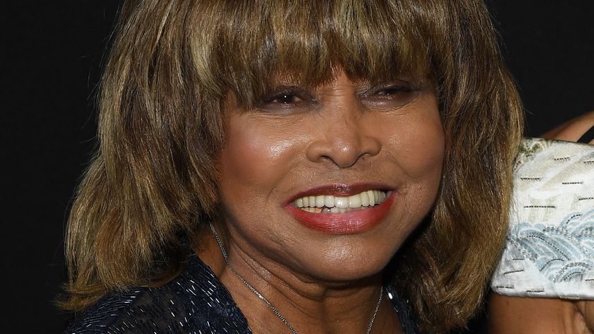 Tina Turner, Sängerin