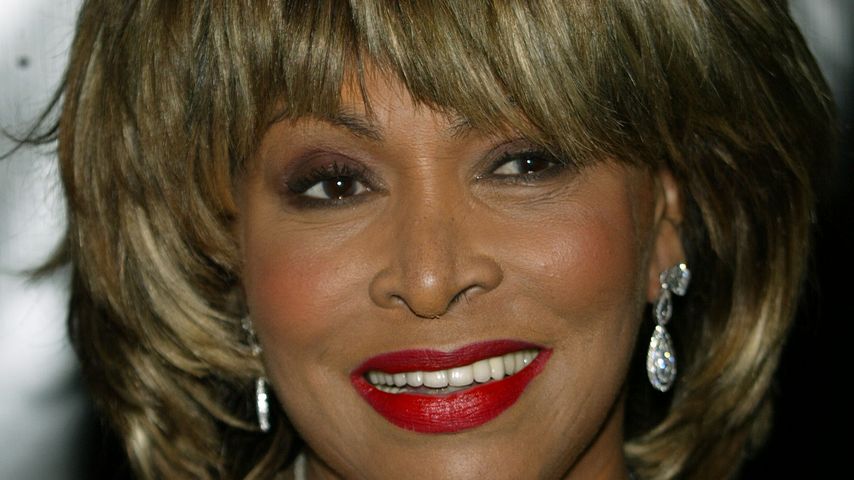 Tina Turner, Sängerin