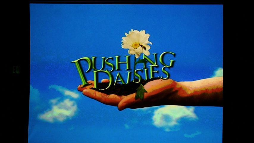 TVCA Press Tour: "Pushing Daisies"-Session im Beverly Hilton, Beverly Hills, 25. Juli 2007