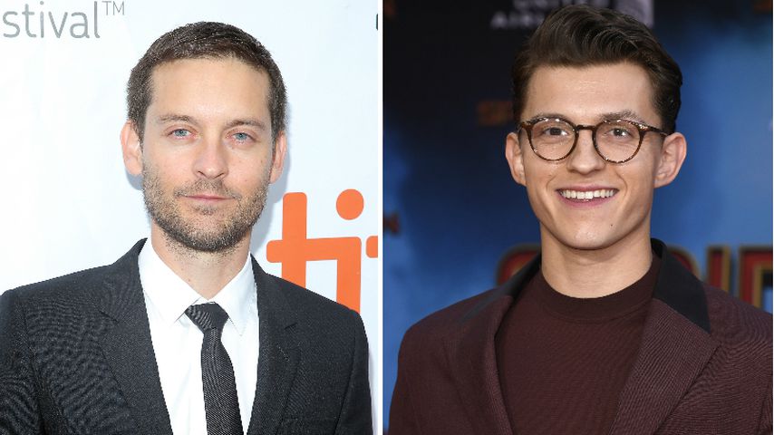Tobey gegen Tom: Dieser Spider-Man ist erfolgreicher