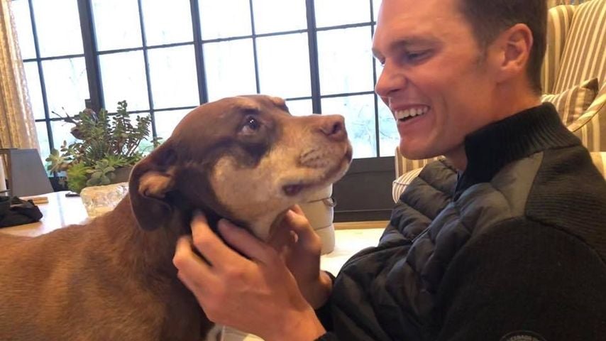Tom Brady und sein Hund Lua, April 2018