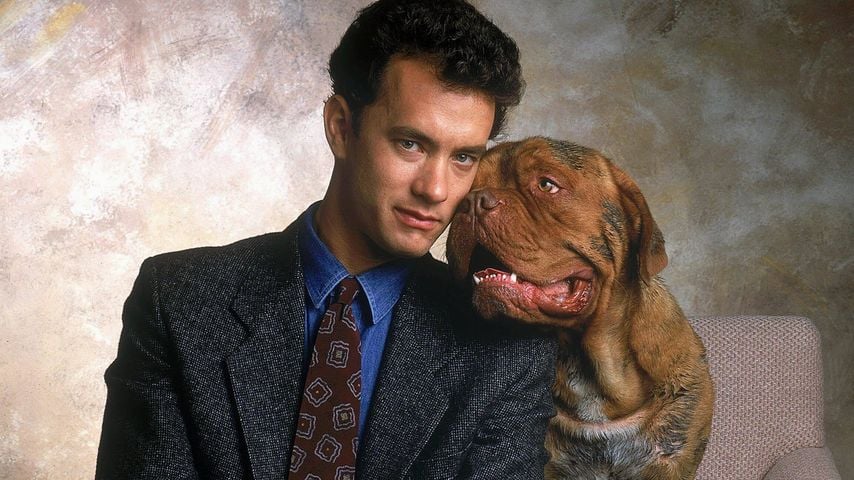 Tom Hanks mit seinem Filmhund in "Scott & Huutsch", 1989