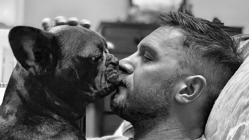Tom Hardy, 05. Februar 2018