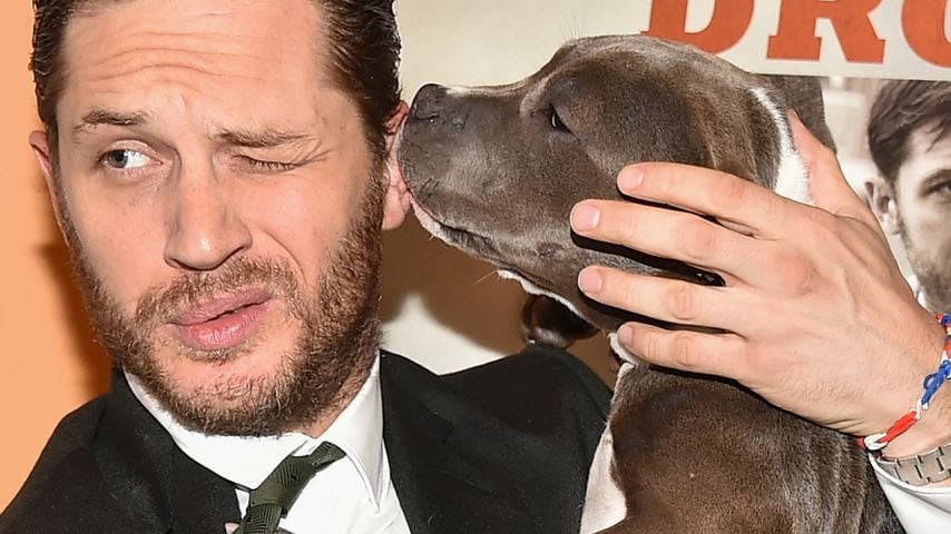 Tom Hardy: "Für Drogen hätte ich meine Mutter verkauft!"