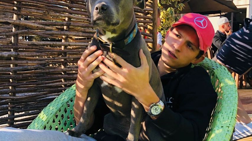 Tom Holland im Oktober 2019